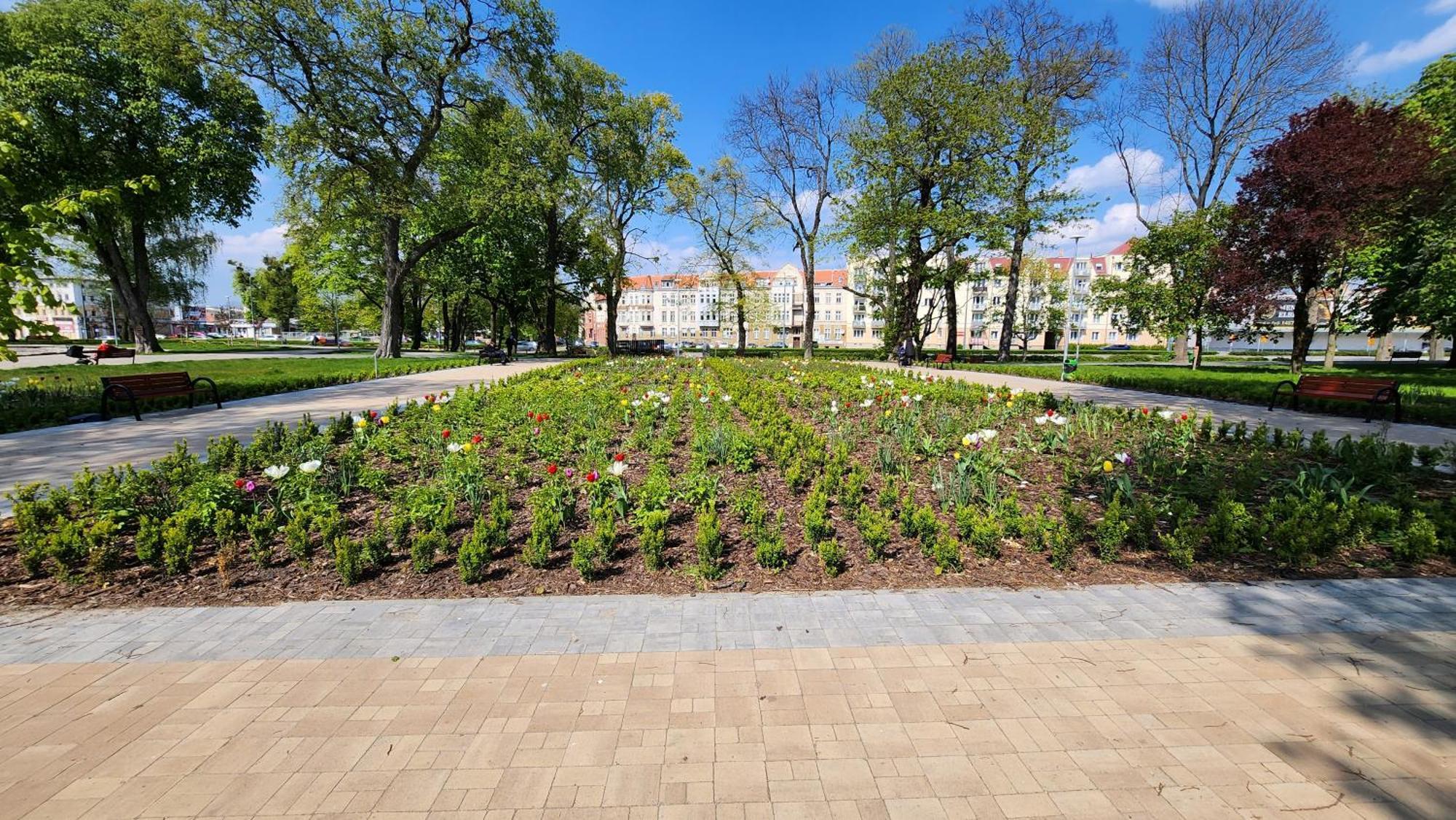 Apartament Garncarska Elblag Exteriér fotografie
